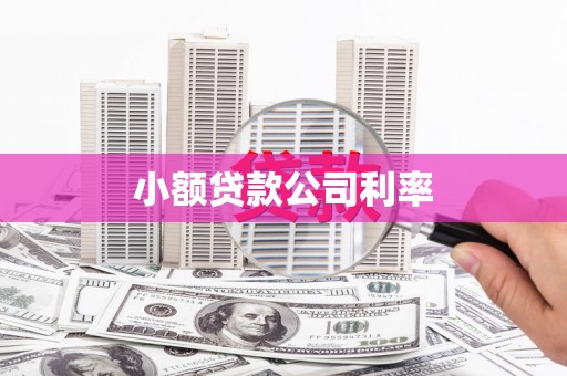 哈尔滨小额贷款公司利率