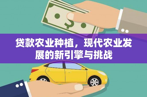 哈尔滨贷款农业种植，现代农业发展的新引擎与挑战