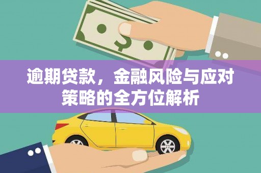 哈尔滨逾期贷款，金融风险与应对策略的全方位解析