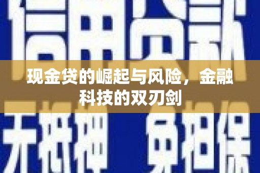哈尔滨现金贷的崛起与风险，金融科技的双刃剑