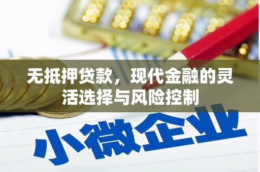 哈尔滨无抵押贷款，现代金融的灵活选择与风险控制