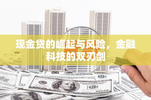 哈尔滨现金贷的崛起与风险，金融科技的双刃剑