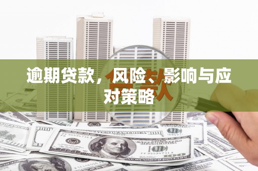 哈尔滨逾期贷款，风险、影响与应对策略