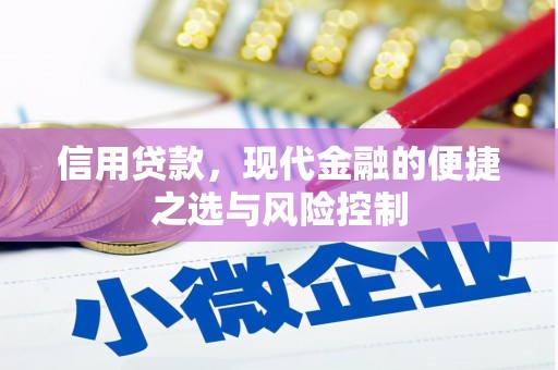 哈尔滨信用贷款，现代金融的便捷之选与风险控制