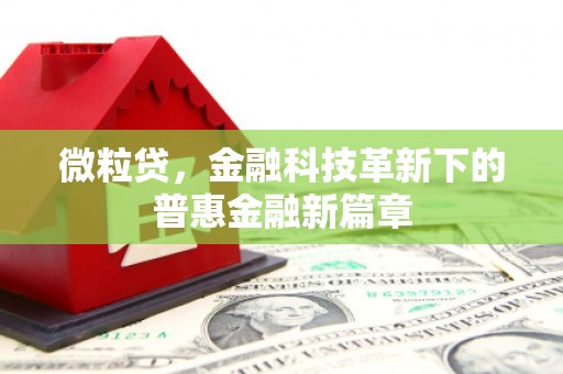 哈尔滨微粒贷，金融科技革新下的普惠金融新篇章