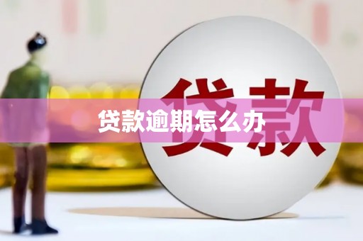 哈尔滨贷款逾期怎么办