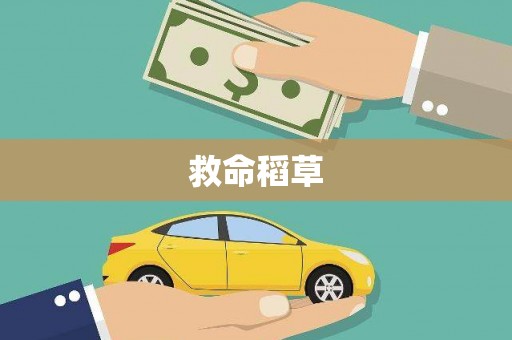 哈尔滨救命稻草