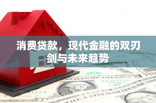 哈尔滨消费贷款，现代金融的双刃剑与未来趋势