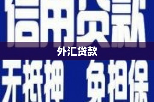哈尔滨外汇贷款