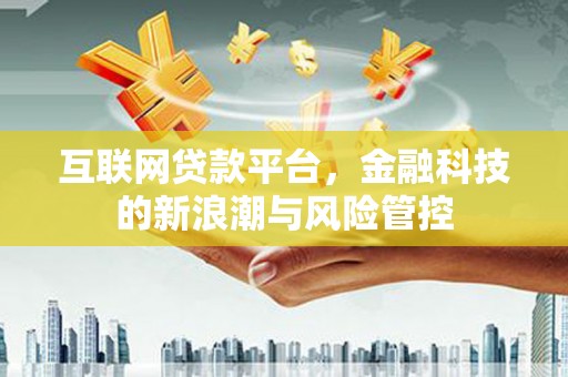 哈尔滨互联网贷款平台，金融科技的新浪潮与风险管控