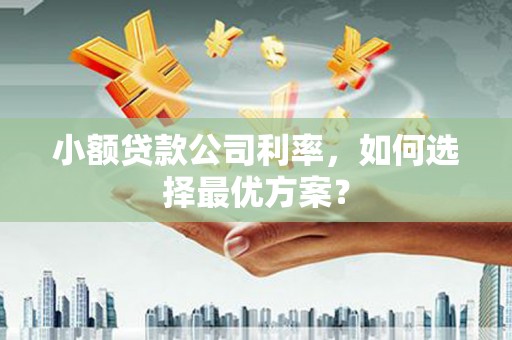 哈尔滨小额贷款公司利率，如何选择最优方案？
