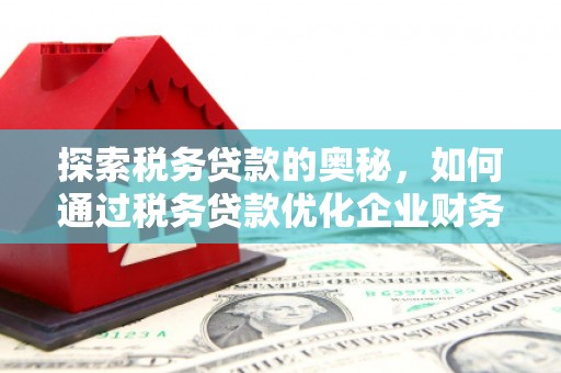 哈尔滨探索税务贷款的奥秘，如何通过税务贷款优化企业财务
