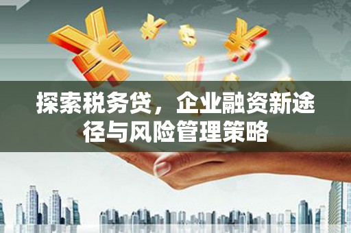哈尔滨探索税务贷，企业融资新途径与风险管理策略