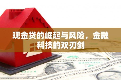 哈尔滨现金贷的崛起与风险，金融科技的双刃剑