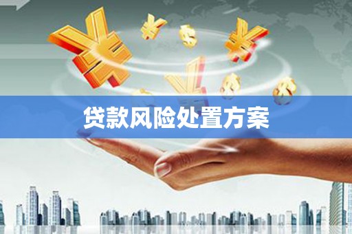 哈尔滨贷款风险处置方案