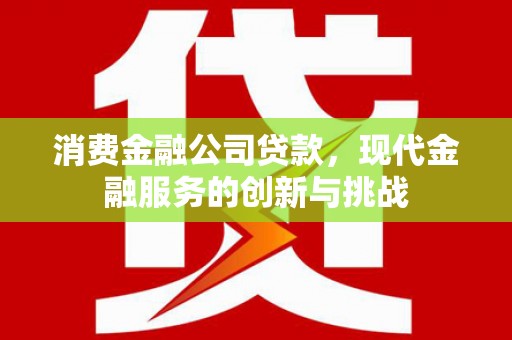 哈尔滨消费金融公司贷款，现代金融服务的创新与挑战