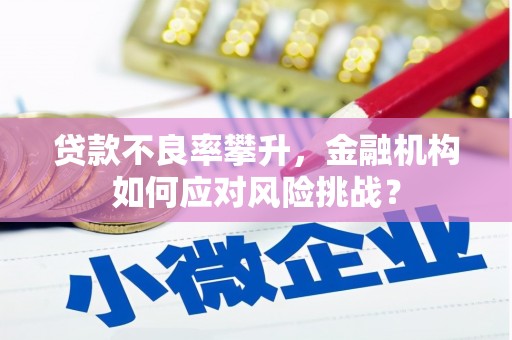 哈尔滨贷款不良率攀升，金融机构如何应对风险挑战？