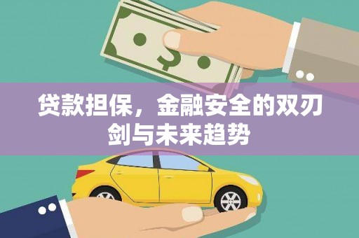 哈尔滨贷款担保，金融安全的双刃剑与未来趋势