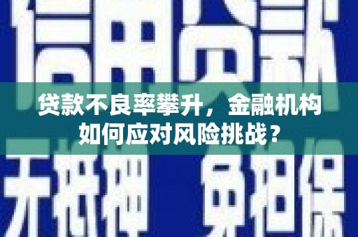 哈尔滨贷款不良率攀升，金融机构如何应对风险挑战？