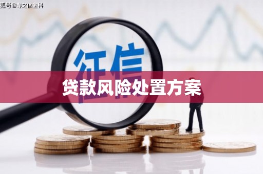 哈尔滨贷款风险处置方案