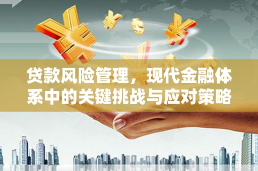 哈尔滨贷款风险管理，现代金融体系中的关键挑战与应对策略