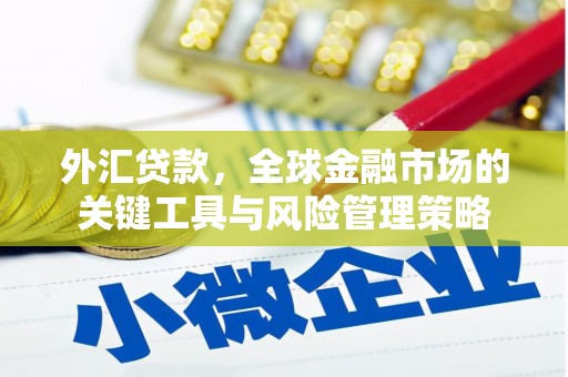 哈尔滨外汇贷款，全球金融市场的关键工具与风险管理策略