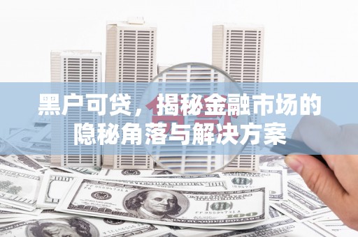 哈尔滨黑户可贷，揭秘金融市场的隐秘角落与解决方案