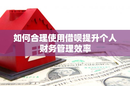 哈尔滨如何合理使用借呗提升个人财务管理效率