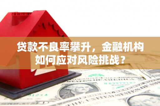 哈尔滨贷款不良率攀升，金融机构如何应对风险挑战？