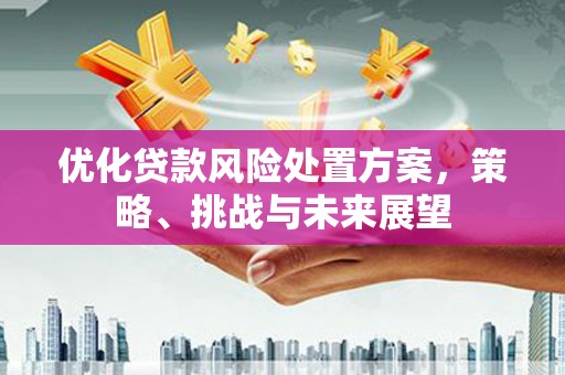 哈尔滨优化贷款风险处置方案，策略、挑战与未来展望