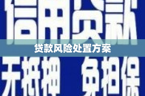 哈尔滨贷款风险处置方案