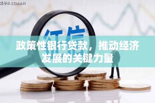 哈尔滨政策性银行贷款，推动经济发展的关键力量