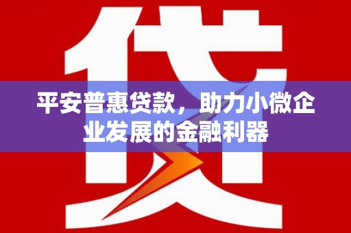 哈尔滨平安普惠贷款，助力小微企业发展的金融利器