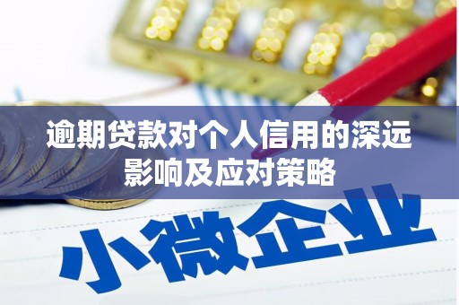 哈尔滨逾期贷款对个人信用的深远影响及应对策略