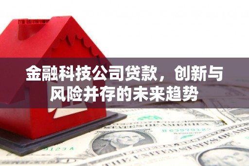 哈尔滨金融科技公司贷款，创新与风险并存的未来趋势