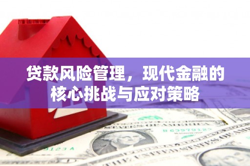 哈尔滨贷款风险管理，现代金融的核心挑战与应对策略