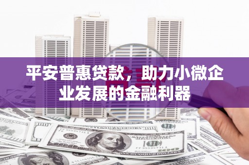 哈尔滨平安普惠贷款，助力小微企业发展的金融利器