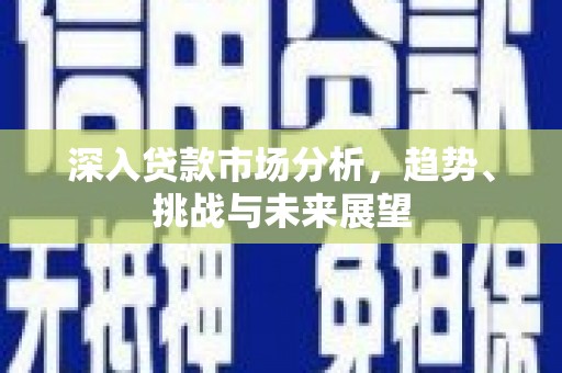 哈尔滨深入贷款市场分析，趋势、挑战与未来展望