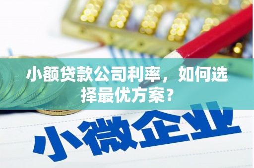 哈尔滨小额贷款公司利率，如何选择最优方案？