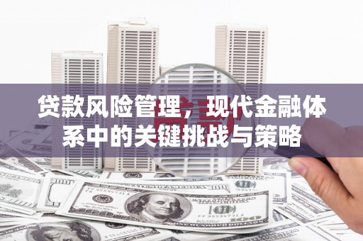 哈尔滨贷款风险管理，现代金融体系中的关键挑战与策略