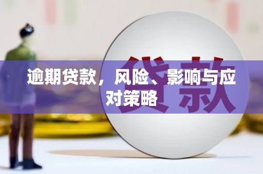 哈尔滨逾期贷款，风险、影响与应对策略