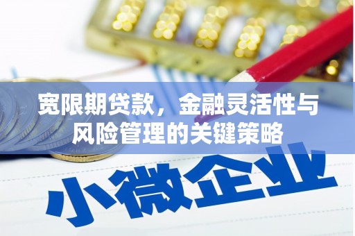 哈尔滨宽限期贷款，金融灵活性与风险管理的关键策略