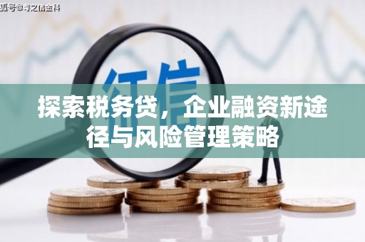 哈尔滨探索税务贷，企业融资新途径与风险管理策略