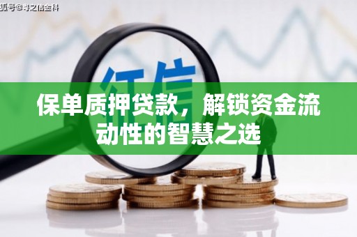 哈尔滨保单质押贷款，解锁资金流动性的智慧之选