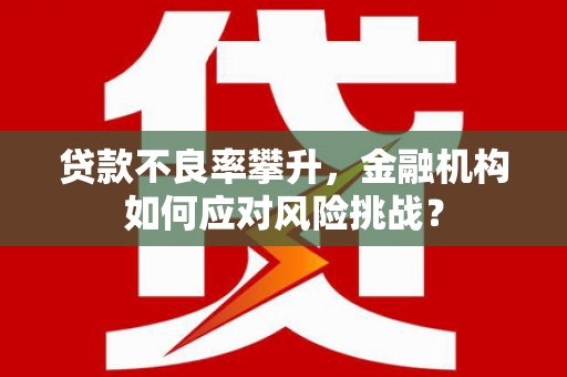 哈尔滨贷款不良率攀升，金融机构如何应对风险挑战？