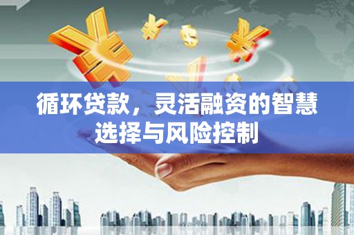 哈尔滨循环贷款，灵活融资的智慧选择与风险控制