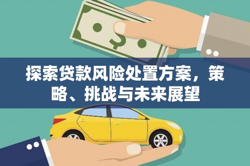 哈尔滨探索贷款风险处置方案，策略、挑战与未来展望