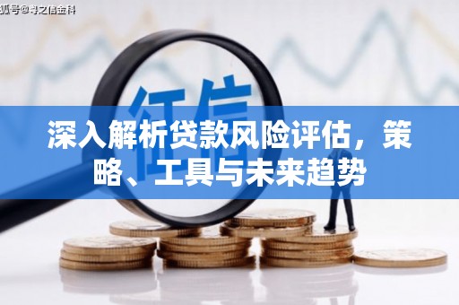 哈尔滨深入解析贷款风险评估，策略、工具与未来趋势