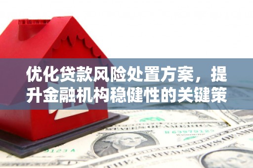 哈尔滨优化贷款风险处置方案，提升金融机构稳健性的关键策略