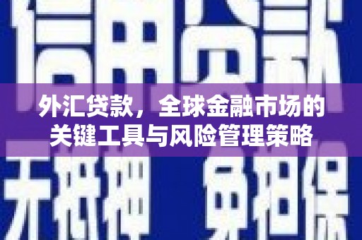 哈尔滨外汇贷款，全球金融市场的关键工具与风险管理策略